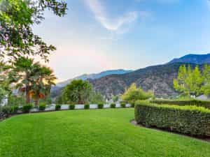 Backyard View Daylight