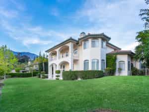 Backyard View Daylight