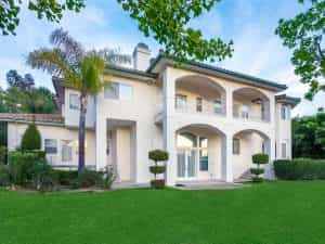 Backyard View Daylight