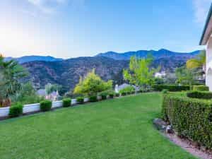 Backyard View Daylight