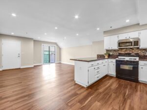 Kitchen and living room area