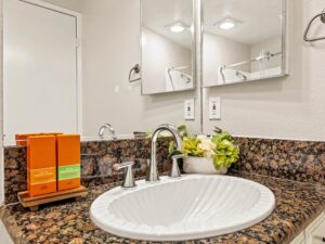 Master Bathroom -medicine cabinet