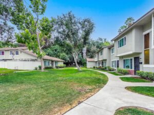 Community View