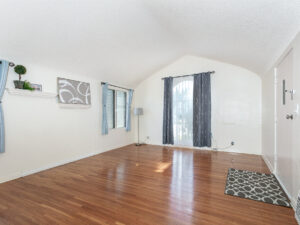 Living Room-Before