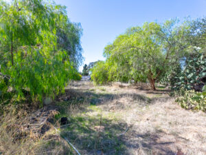 Backyard Lot