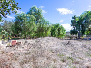 Backyard Lot