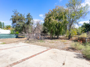 Backyard View