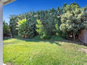 Backyard View