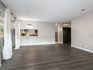 Living Room2-before